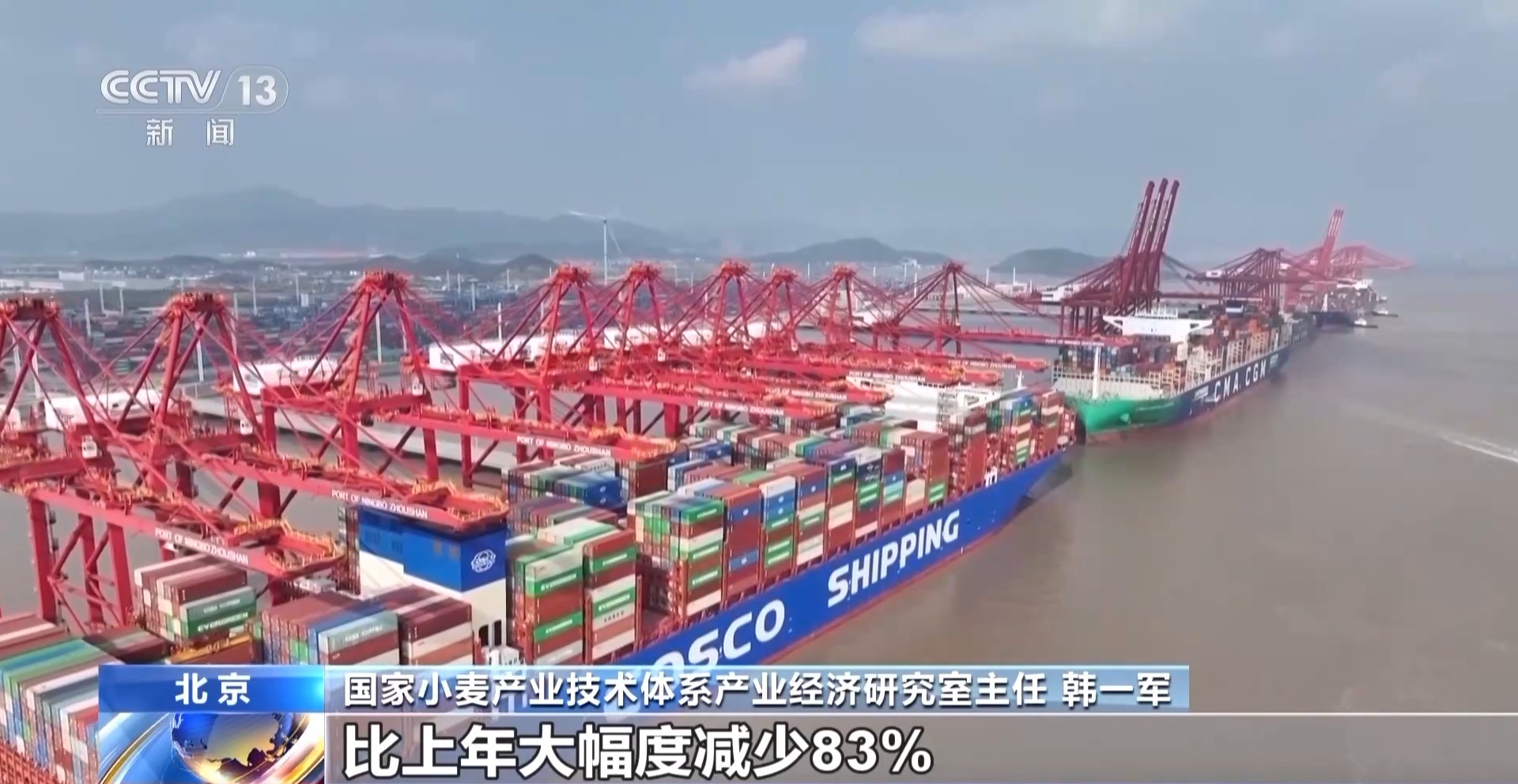 今年新麦有点香~ 品质上佳 价格稳中有升有保障