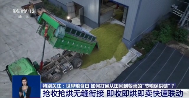 全国秋粮收获进度过六成 如何打通从田间到餐桌的“节粮保供链”？