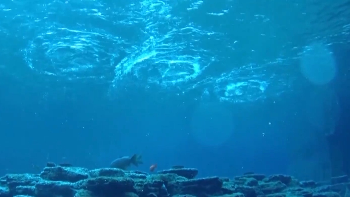 央媒看济南丨央视新闻：趵突泉“水涌若轮”是靠水泵？专家辟谣，靠的是它