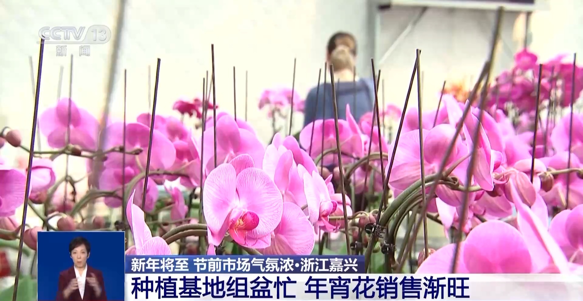 新年将至 你家的年夜饭准备好了吗？“厨师上门”服务了解一下