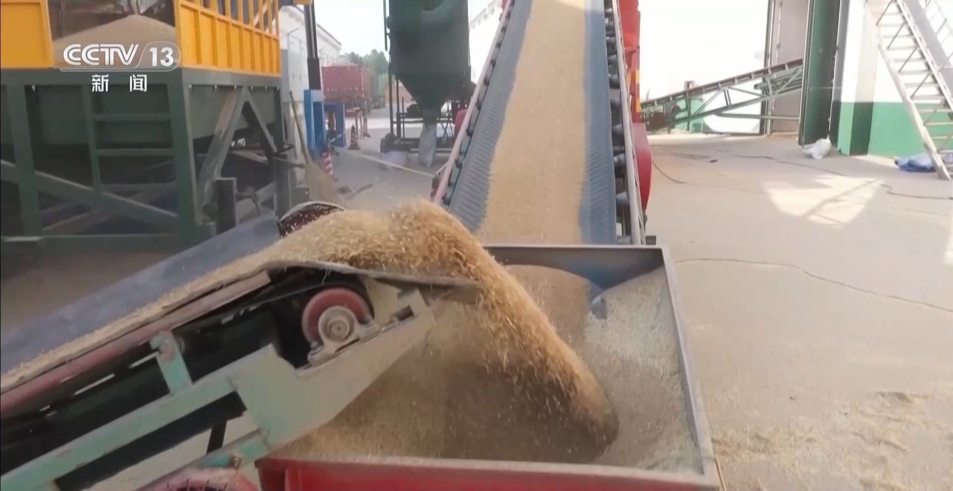 今年新麦有点香~ 品质上佳 价格稳中有升有保障