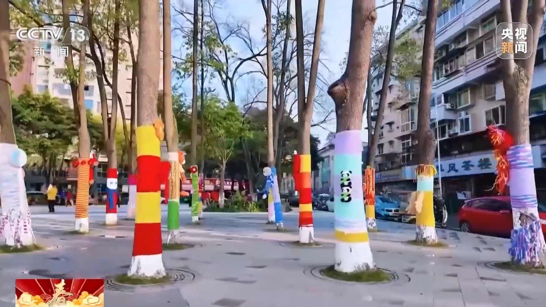 氛围感拉满!街头树木穿“多巴胺毛衣”贺新春