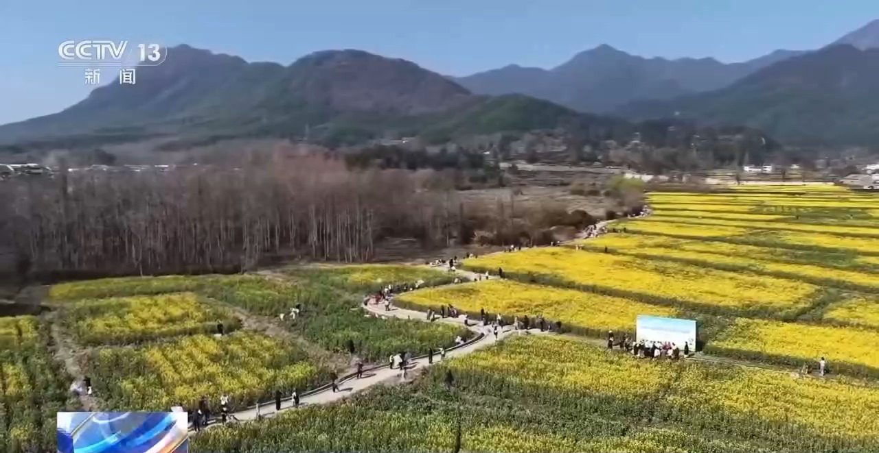 最长连休8天！多地宣布中小学生春假安排