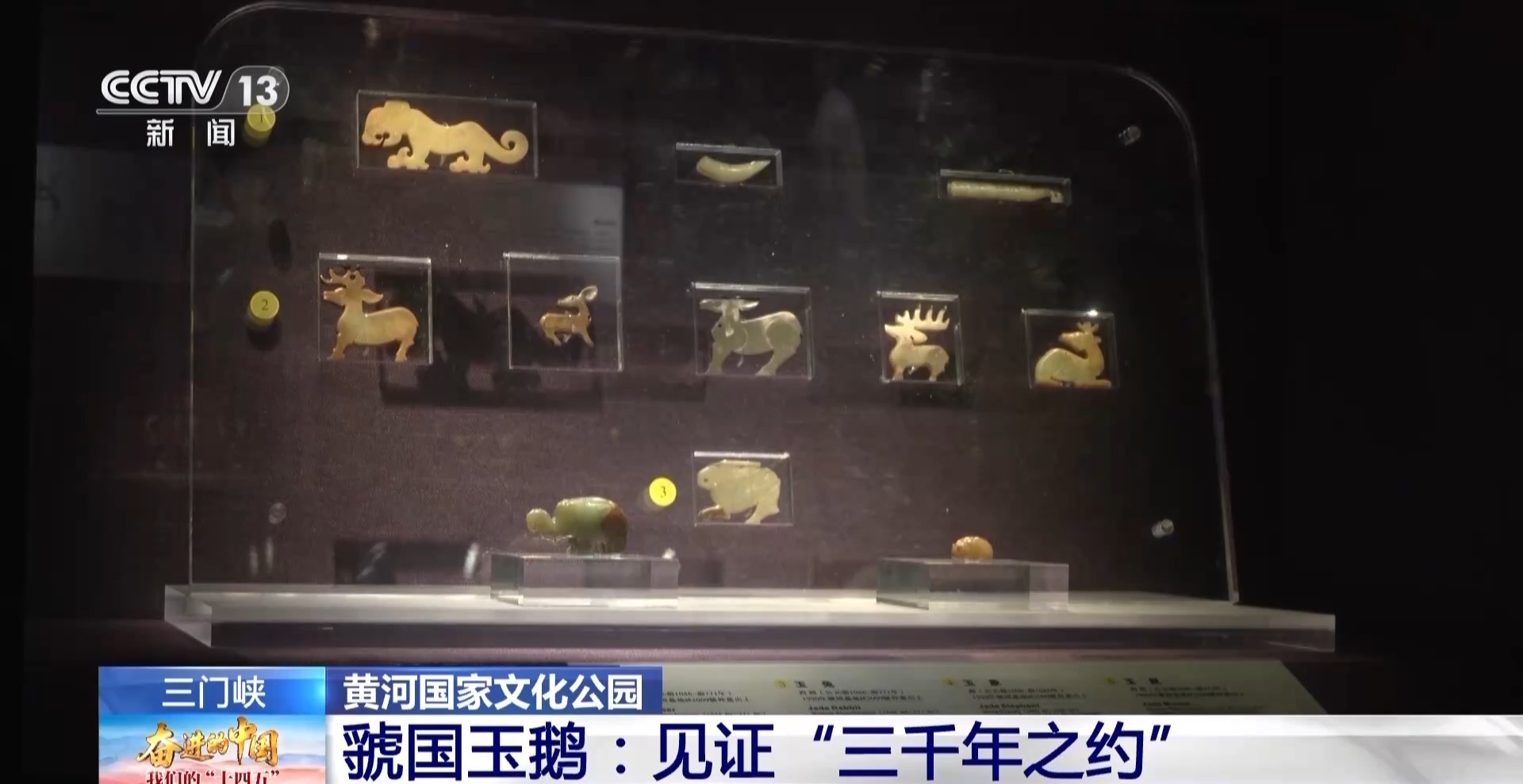 首批大天鵝已抵達！來三門峽黃河濕地赴一場生態(tài)與文化之約