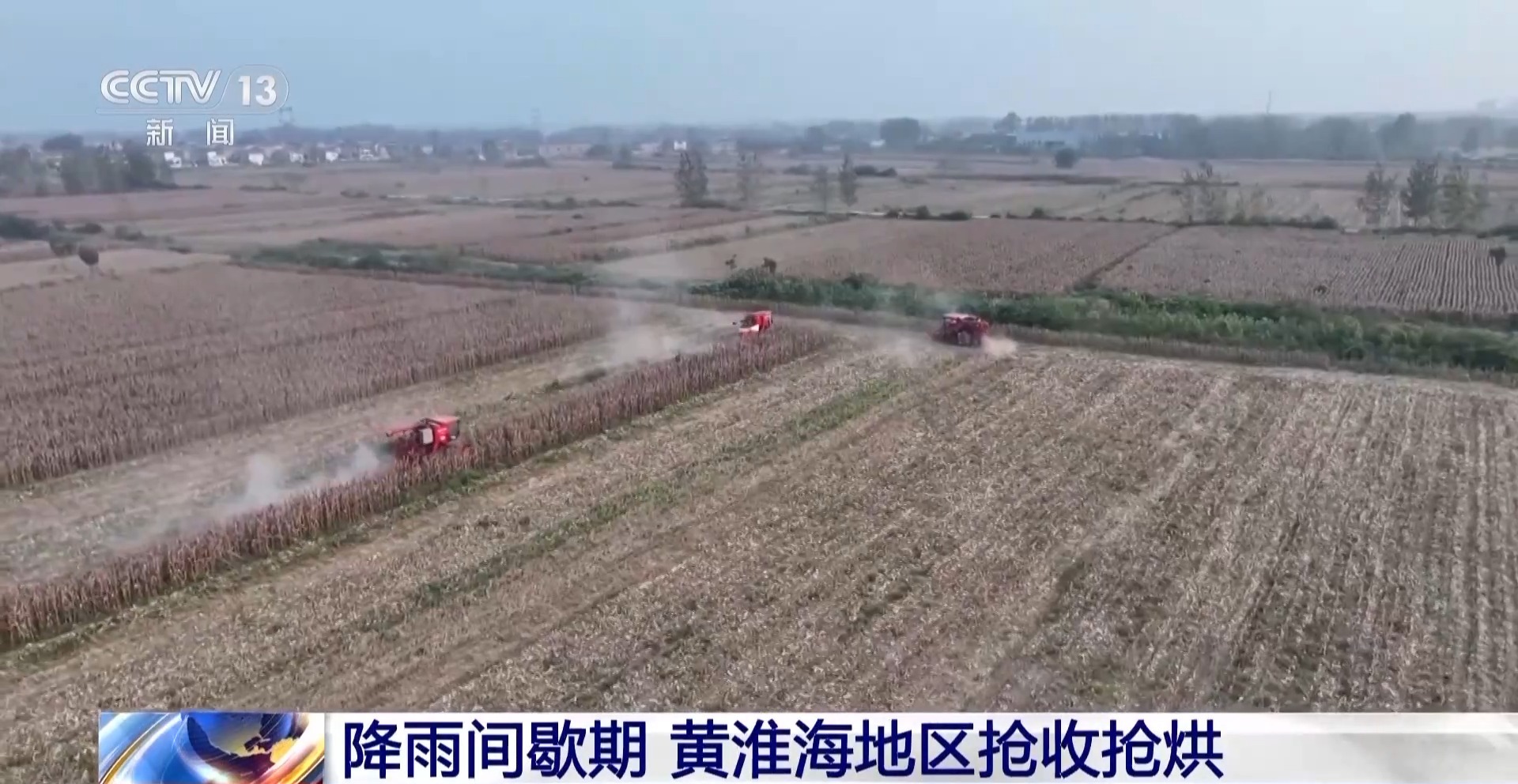 紧急调度收获机、烘干机 黄淮海地区抢抓降雨间歇期 抢收抢烘