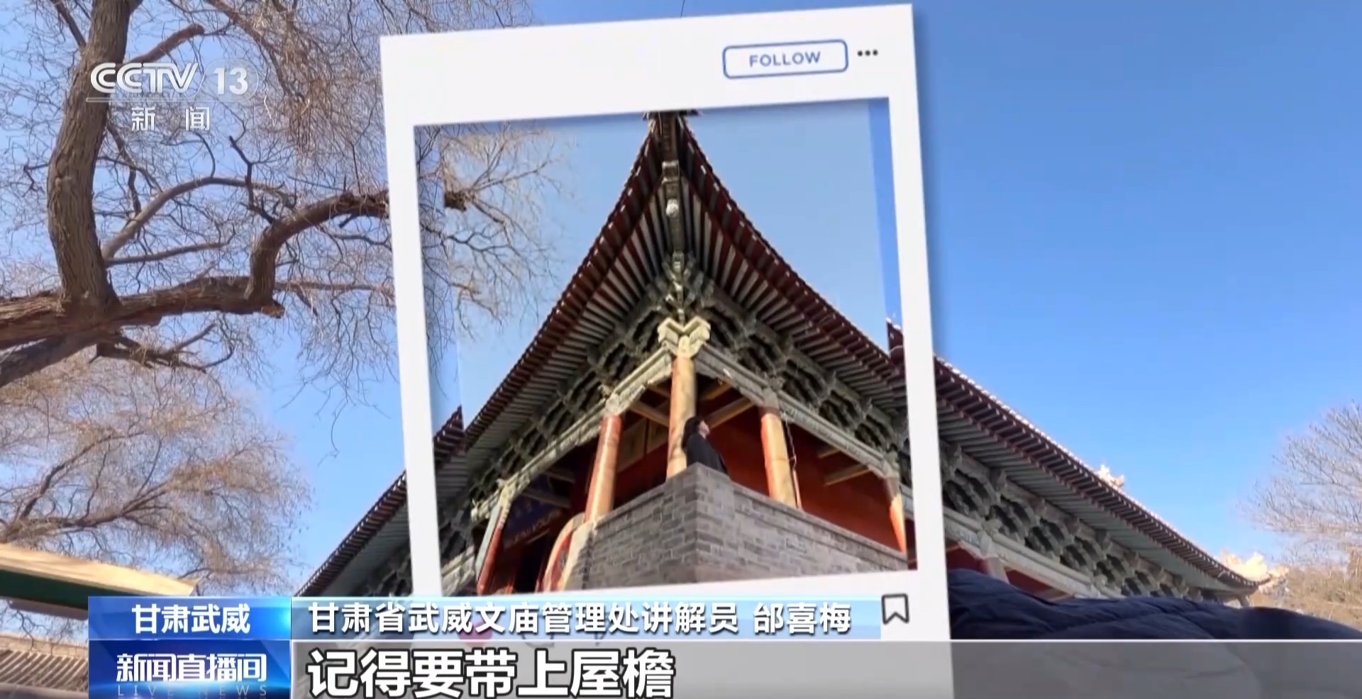 冬春游优惠来袭 宝藏城市甘肃武威“卷”起来了！