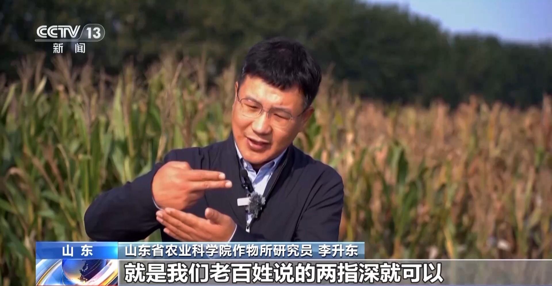 秋收秋种遇上连阴雨 晚播小麦有技巧 专家支招→