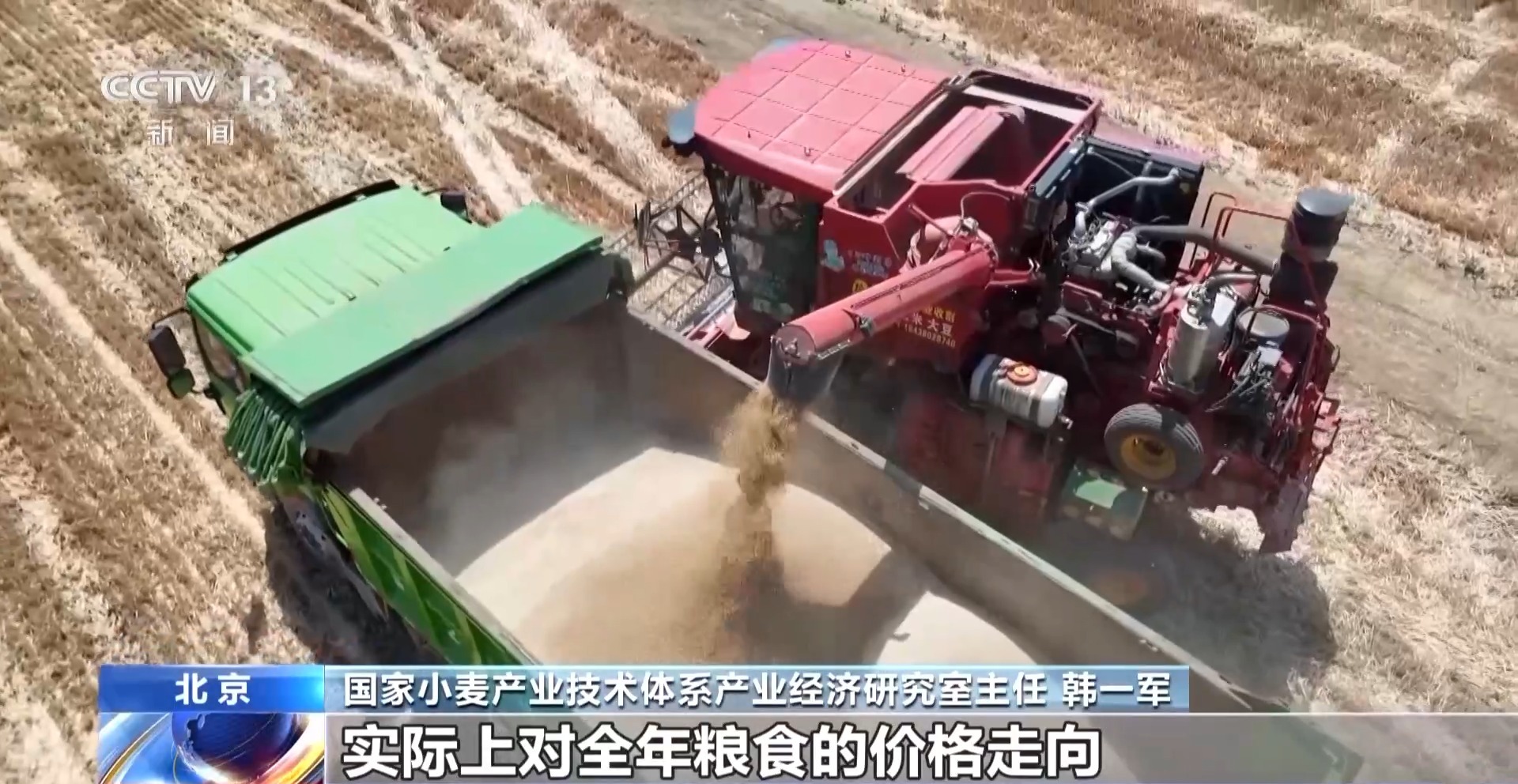 今年新麦有点香~ 品质上佳 价格稳中有升有保障