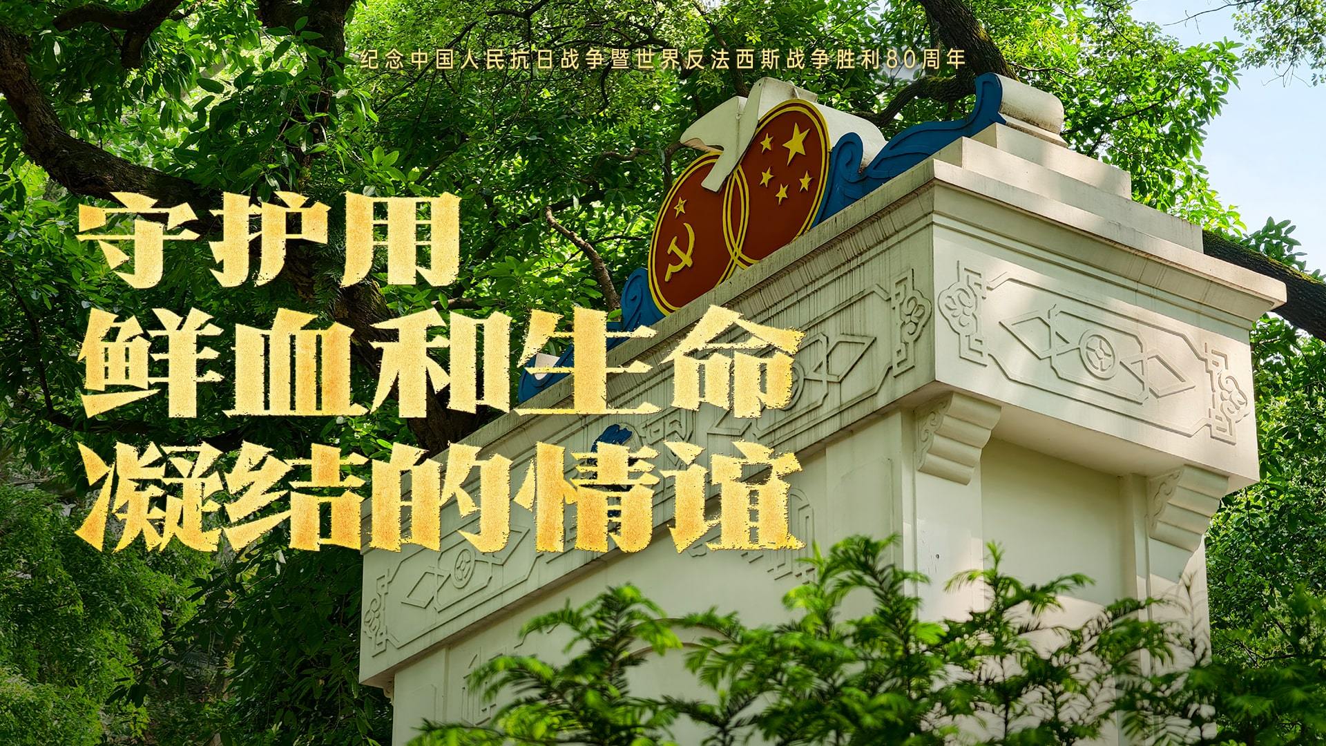 点击查看完整视频