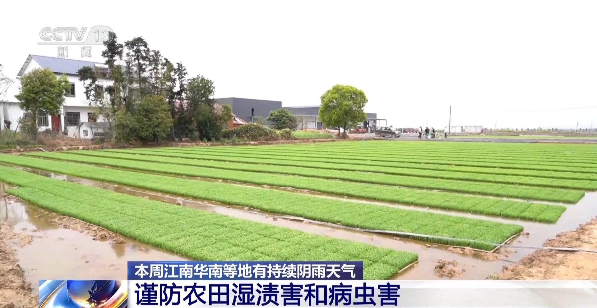 本周整体条件利于冬小麦发育 最新气象提示→