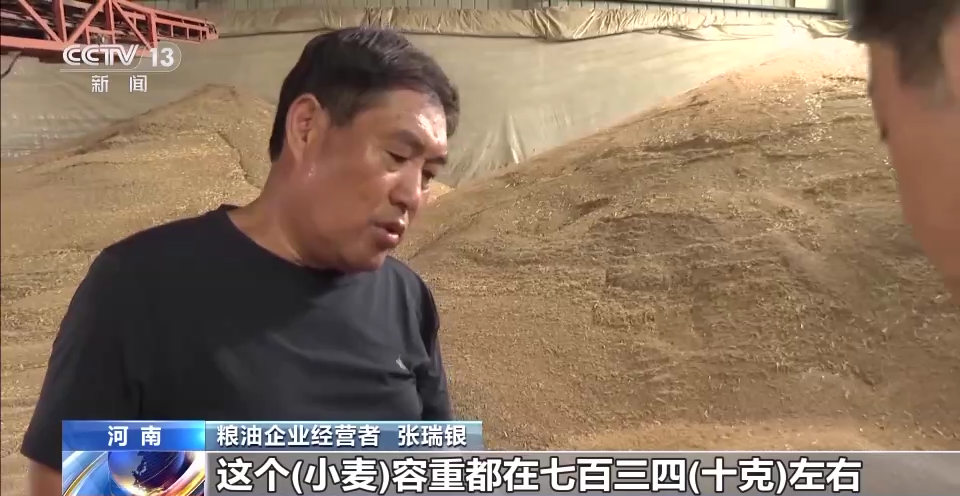 央媒观豫丨政策兜底 河南分类分级收购受损小麦