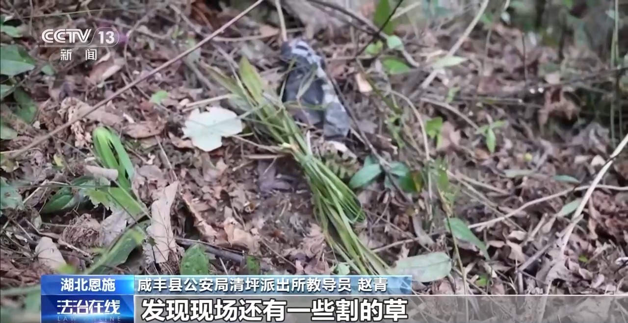 吃野草喝河水苦熬6天 78岁阿尔茨海默病老人深山获救
