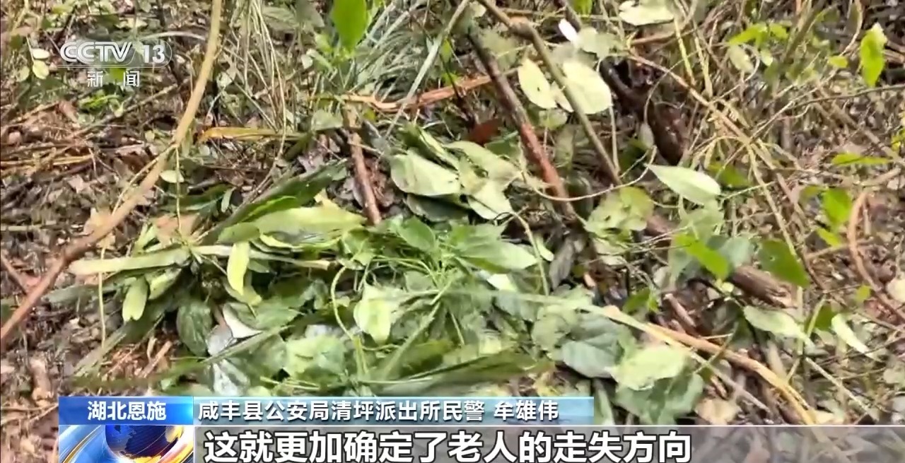 吃野草喝河水苦熬6天 78岁阿尔茨海默病老人深山获救