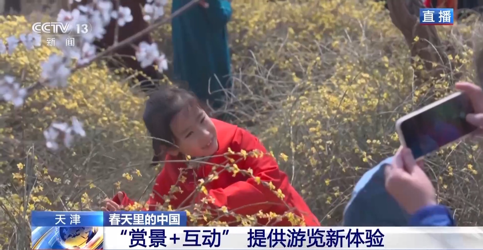 春日渐暖、百花齐放 一起走进春天里的中国