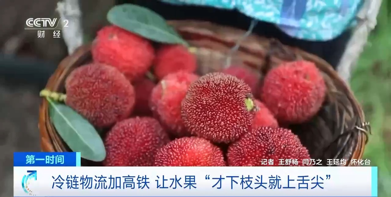 半天送达周边城市 “冷链物流+高铁”让水果“才下枝头就上舌尖”