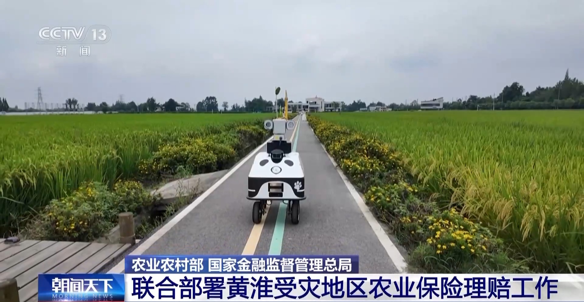 秋收遇阴雨 科技查勘定损助力保险理赔提速