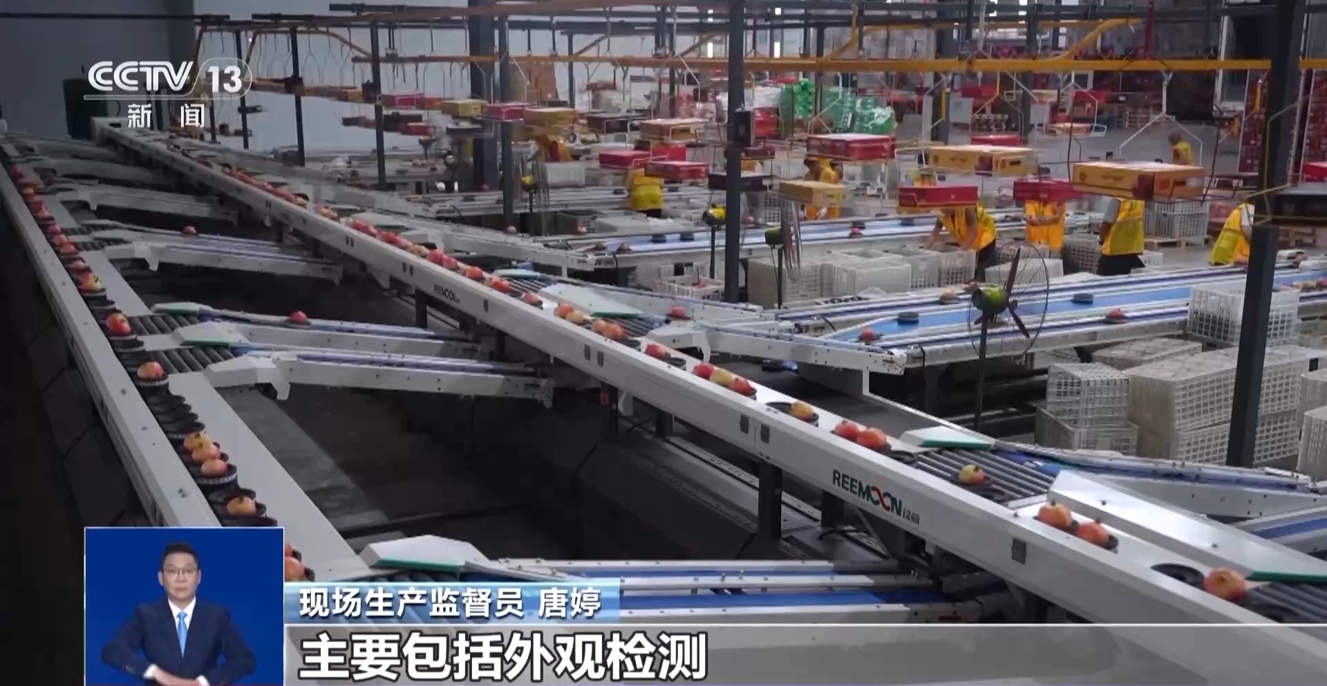 如何使用特殊和健康的利基水果在国内外“让粉