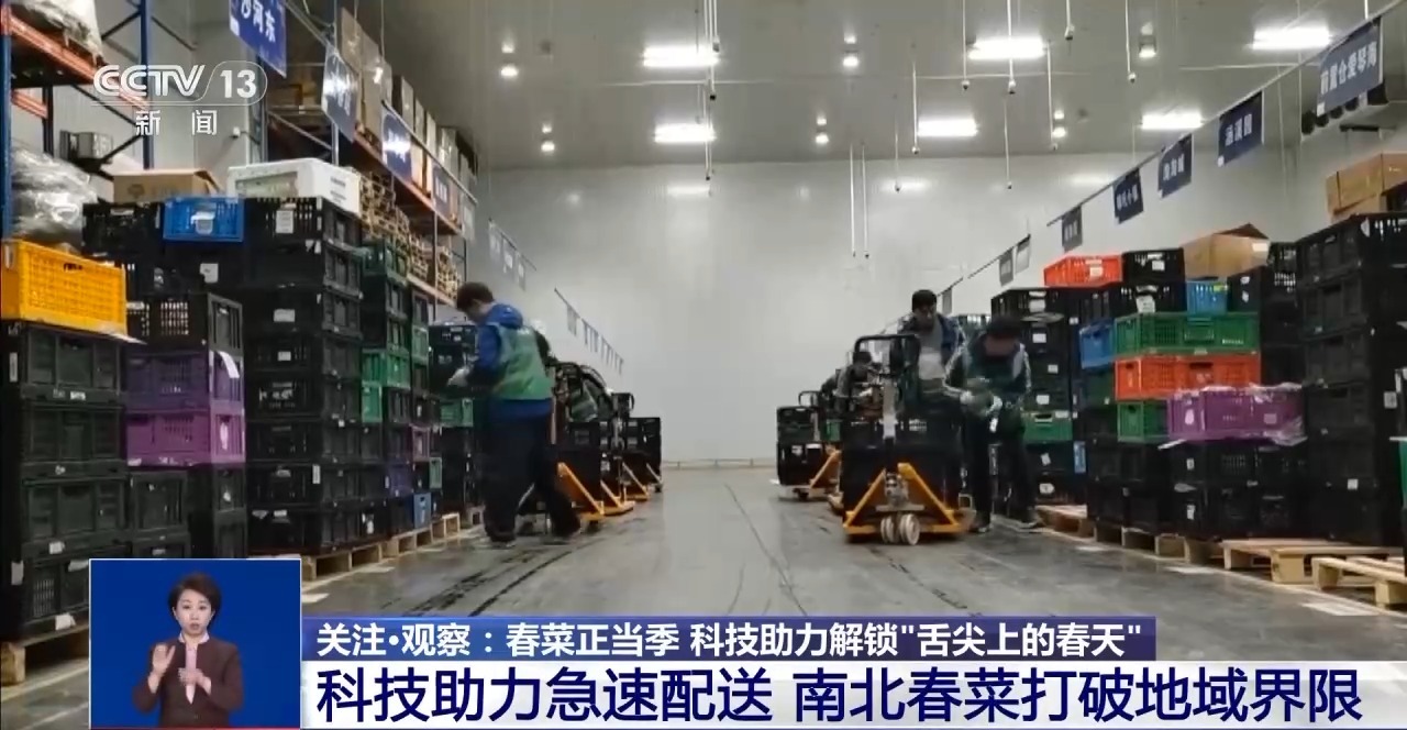 山野菜坐上无人机冷链车 春菜上桌鲜灵劲儿足