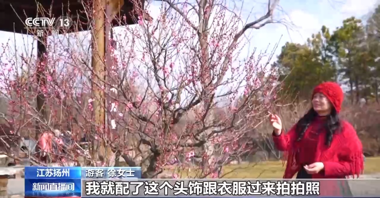 大江南北迎新春：传统市集年味浓 湖上梅林暗香来