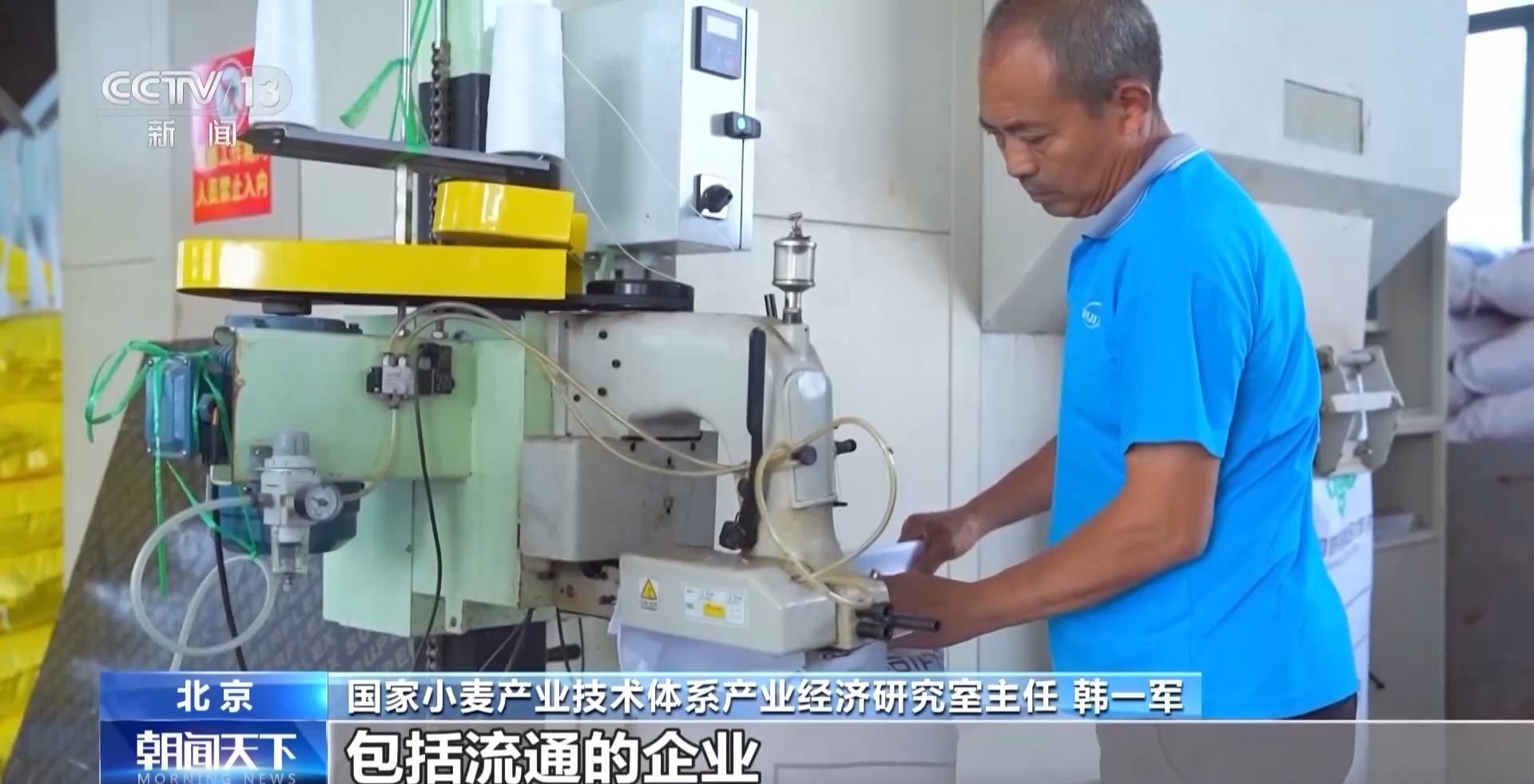 今年新麦有点香~ 品质上佳 价格稳中有升有保障