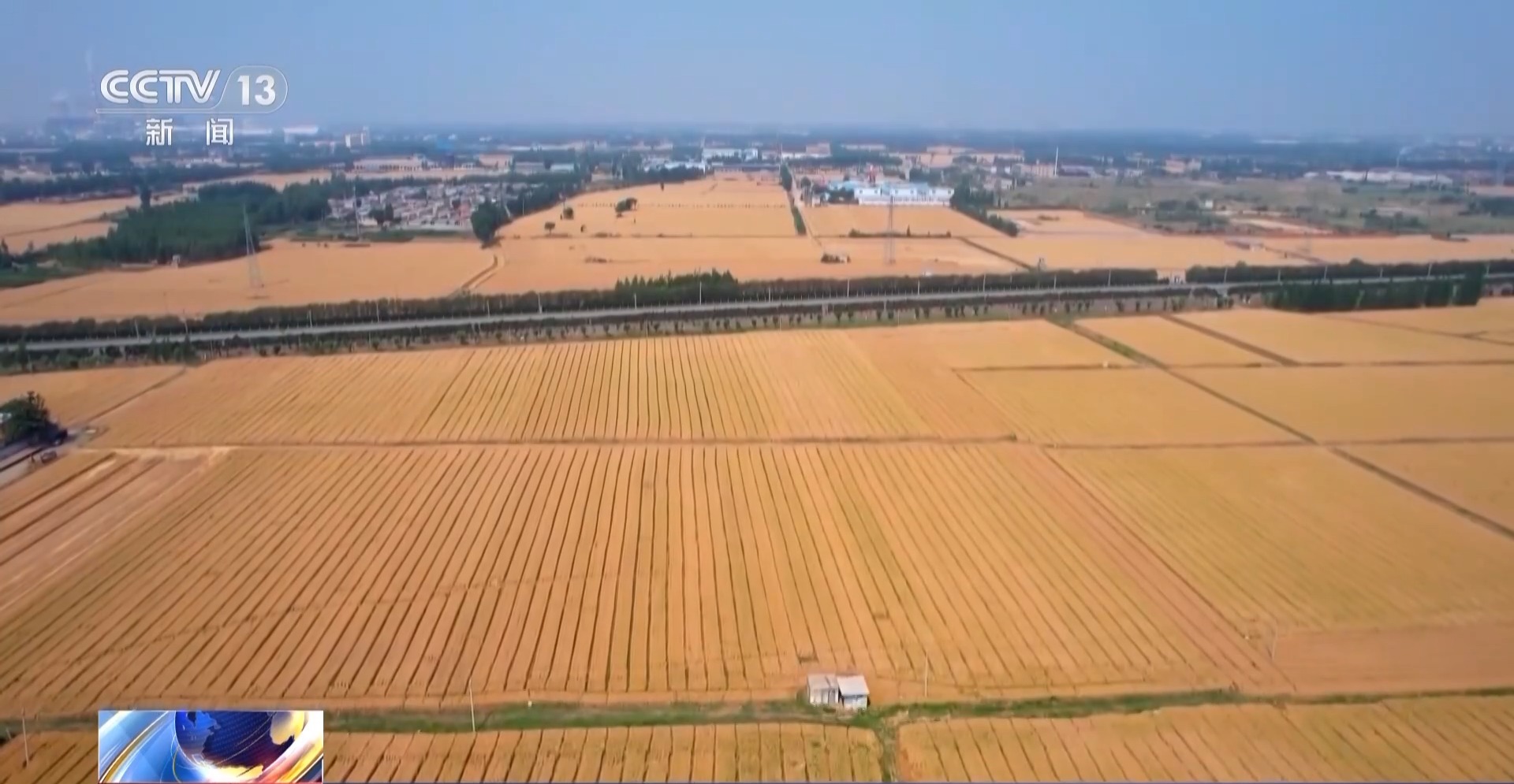 1.43万亿斤！为何今年全国粮食产量再创新高？