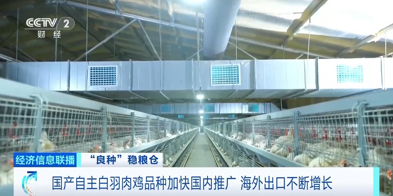 科技赋能自主育种 我国畜禽国产种源竞争力持续增强