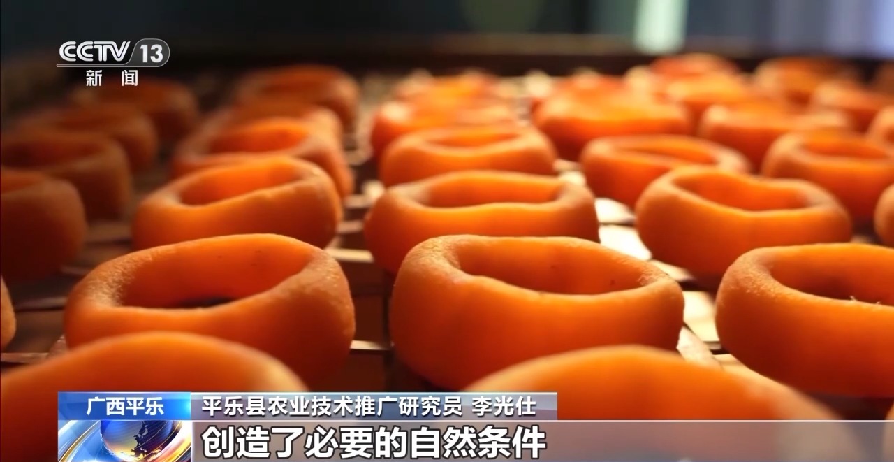 囤秋菜、打年糕……南北方入冬仪式感拉满