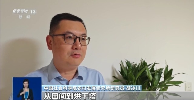 全国秋粮收获进度过六成 如何打通从田间到餐桌的“节粮保供链”？