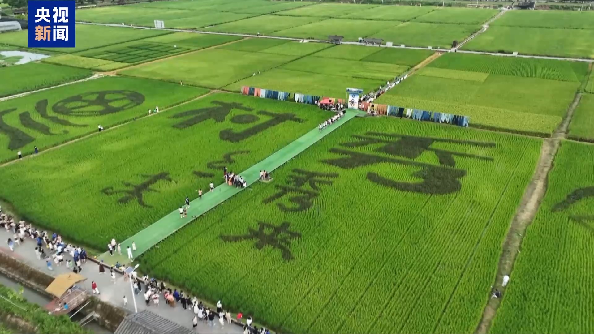 洪水难阻绿茵梦 忠诚村闯进“村超”决赛只为把奖品小黄牛带回村