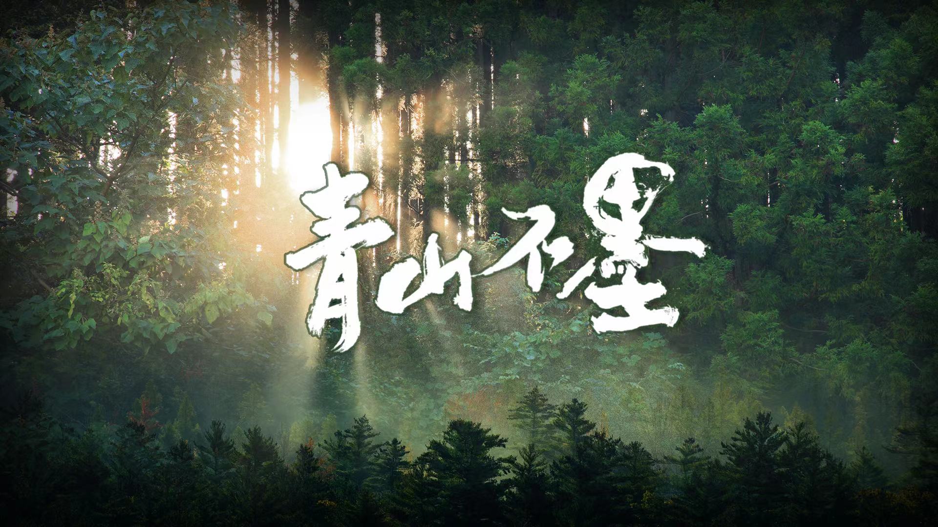 【楽天最安値に挑戦】 掛軸 紅樹青山 絵画