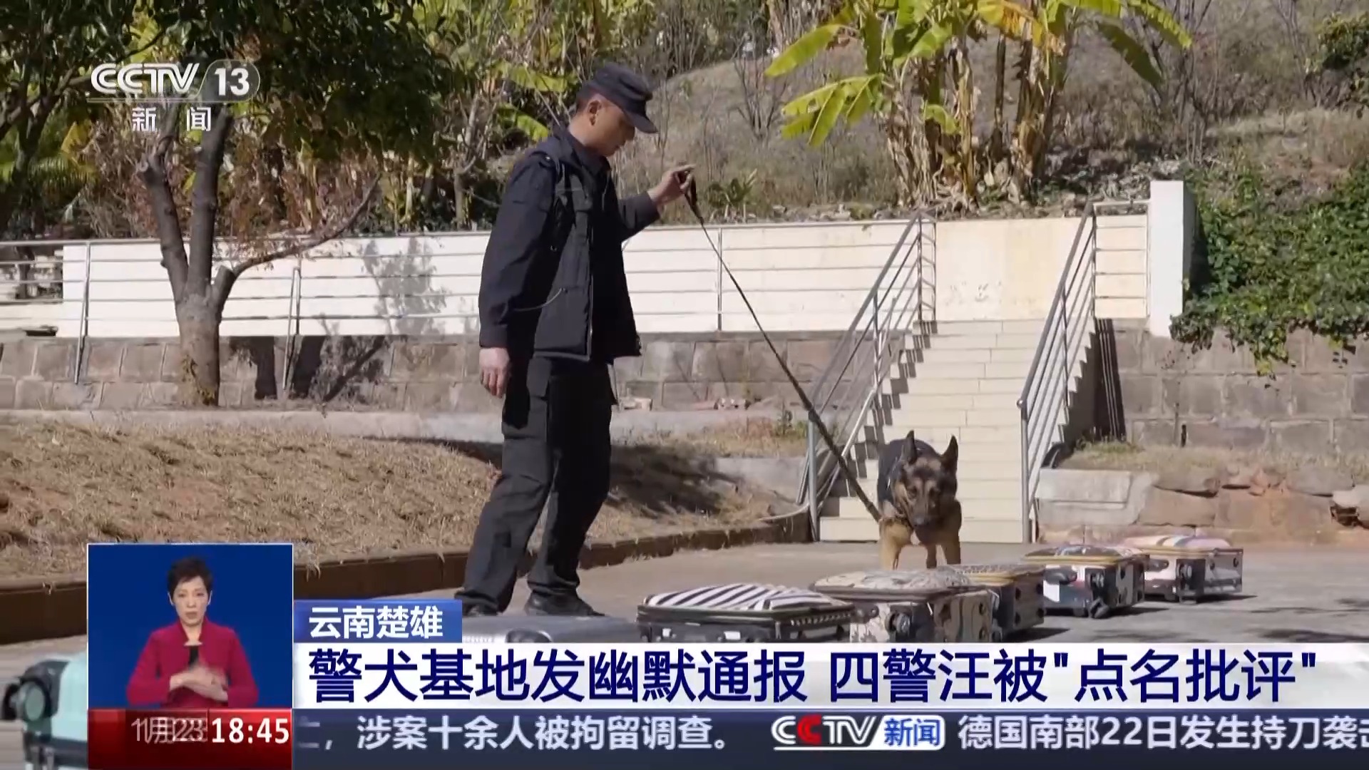 四只警犬被“点名批评” 其实可靠的它们各有绝活