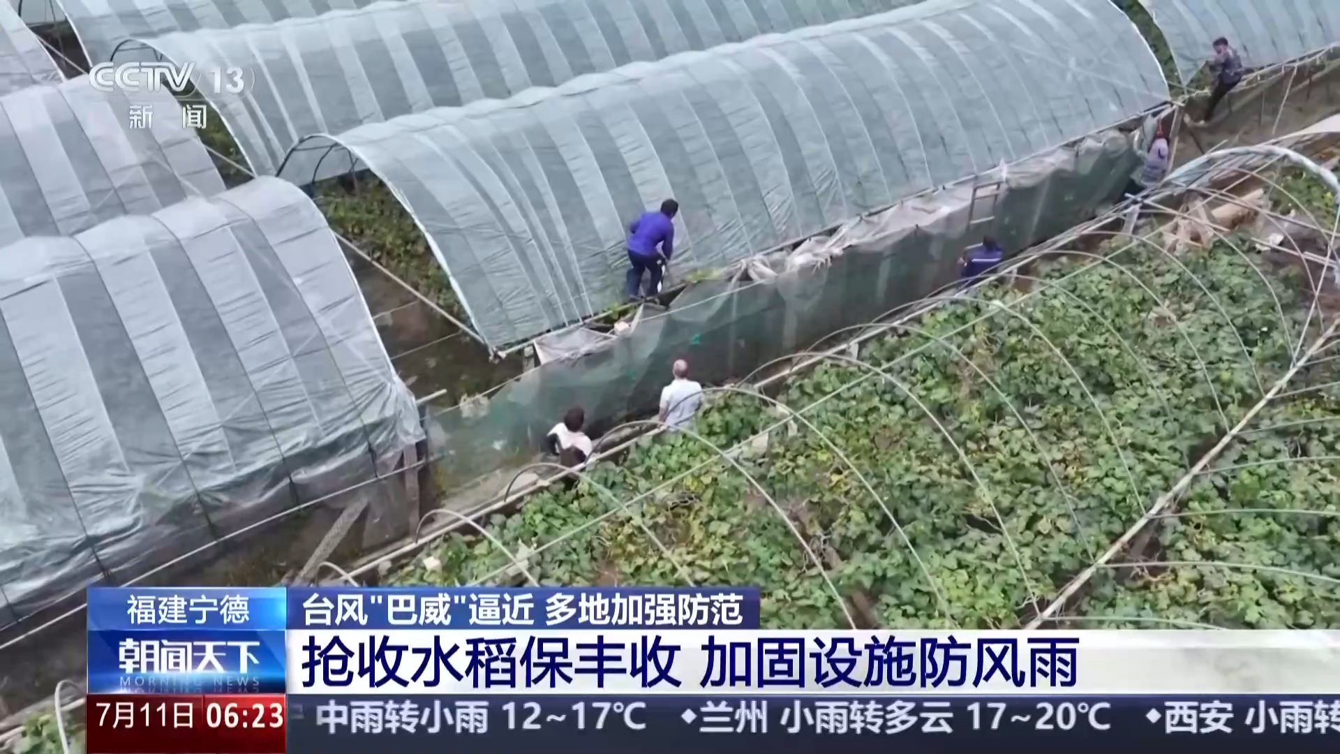 暖心安置、抢收加固 各地多措并举应对台风“巴威”