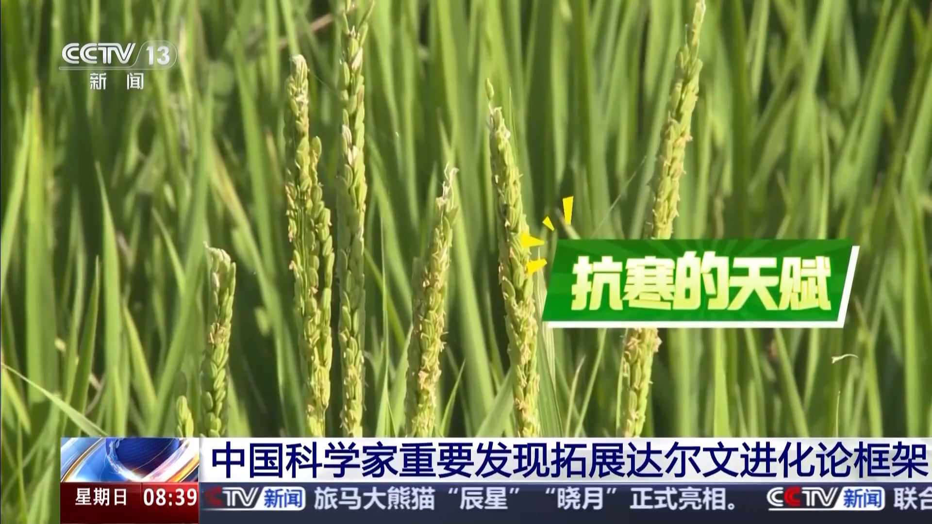 中国科学家重要发现拓展达尔文进化论框架