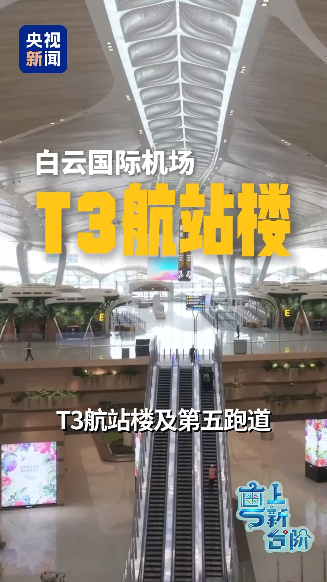 大湾区机场那么多 为什么没有选择困难症?