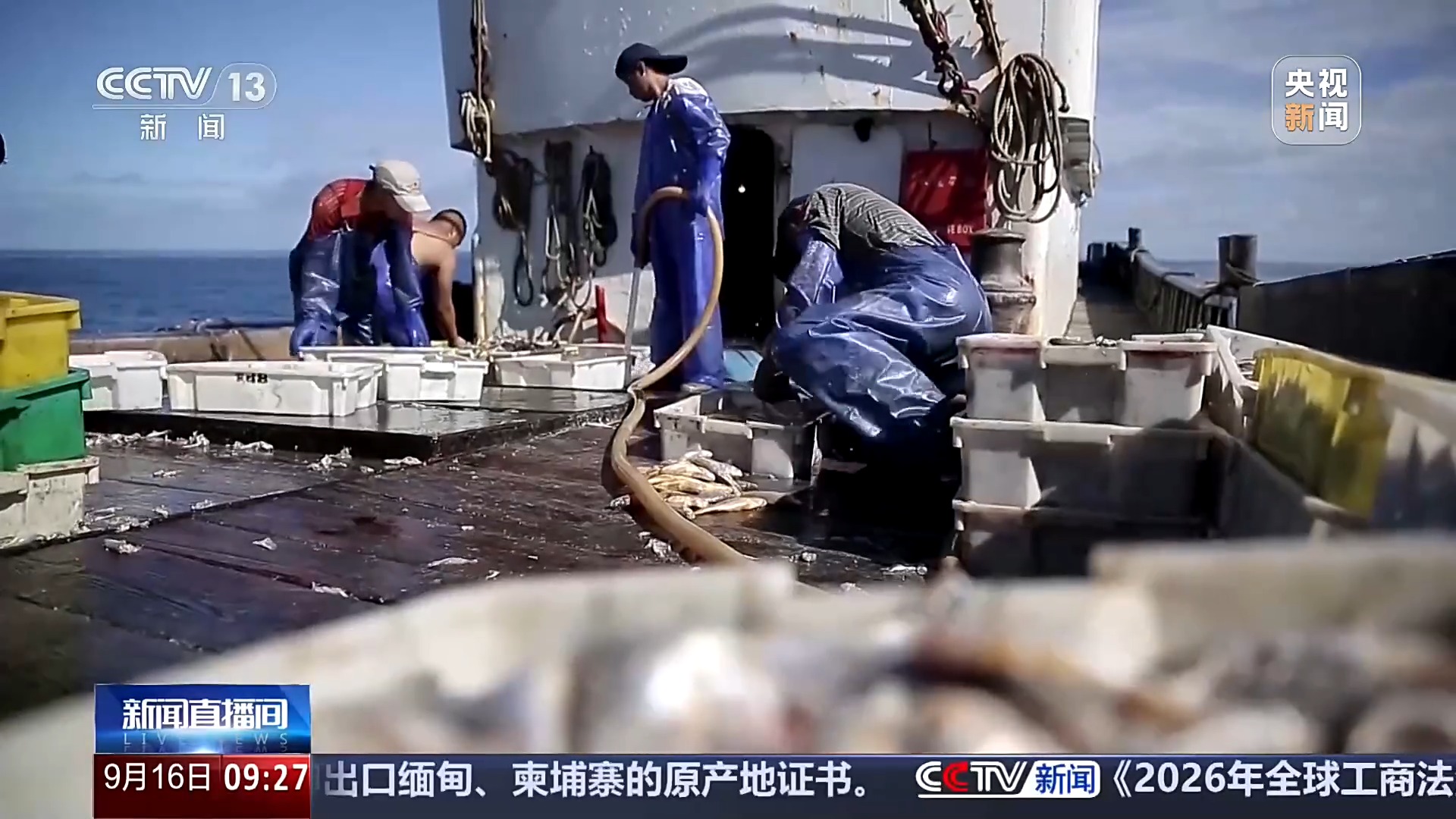重拳整治“三无”船舶 新渔业法监管实现全覆盖