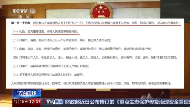 律师用AI生成虚假案例被法院发现 将承担何种责任