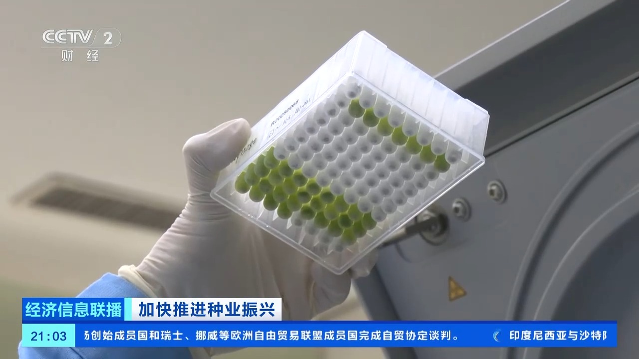 我国口粮品种自主率达到100% 粮食作物良种基本实现全覆盖