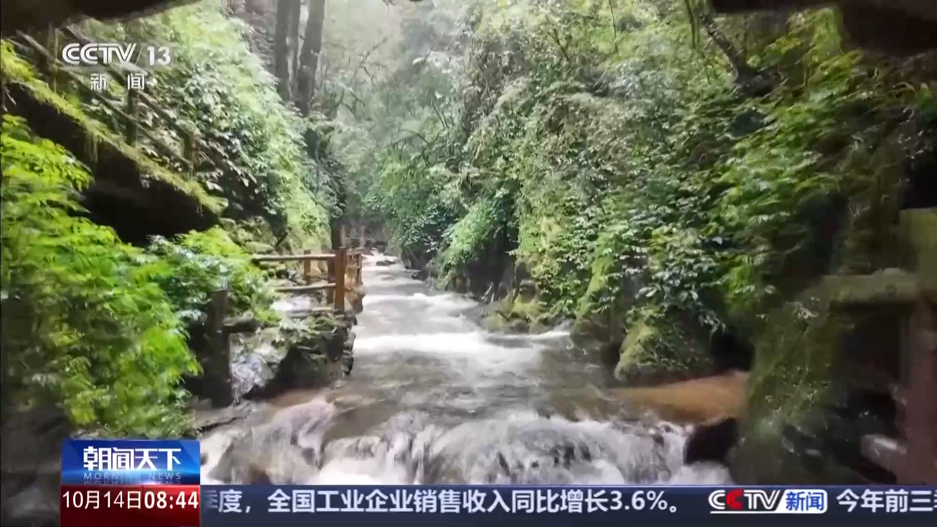 安全第一！普通游客切勿冒险跟风进入“野景区”