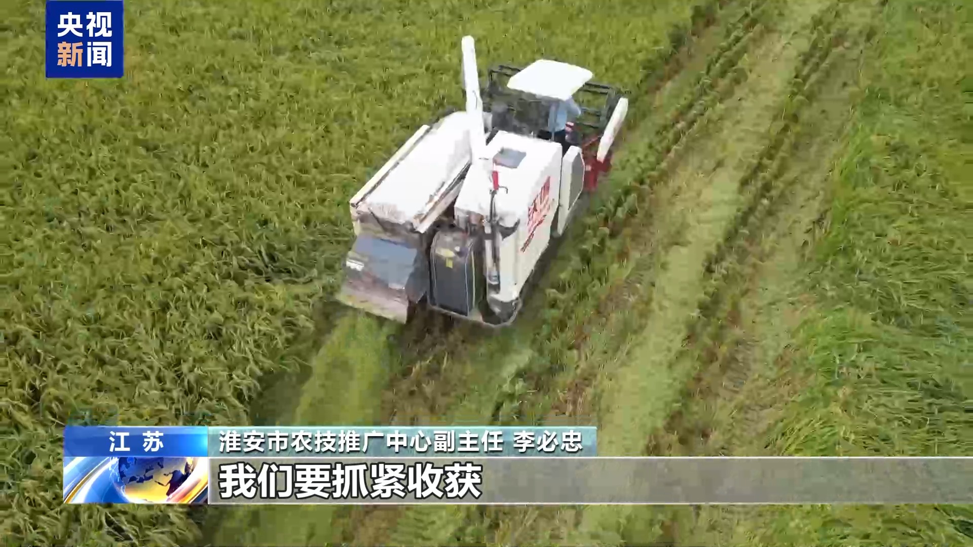 昼夜不停！全国秋收近八成 夜间抢播保农时