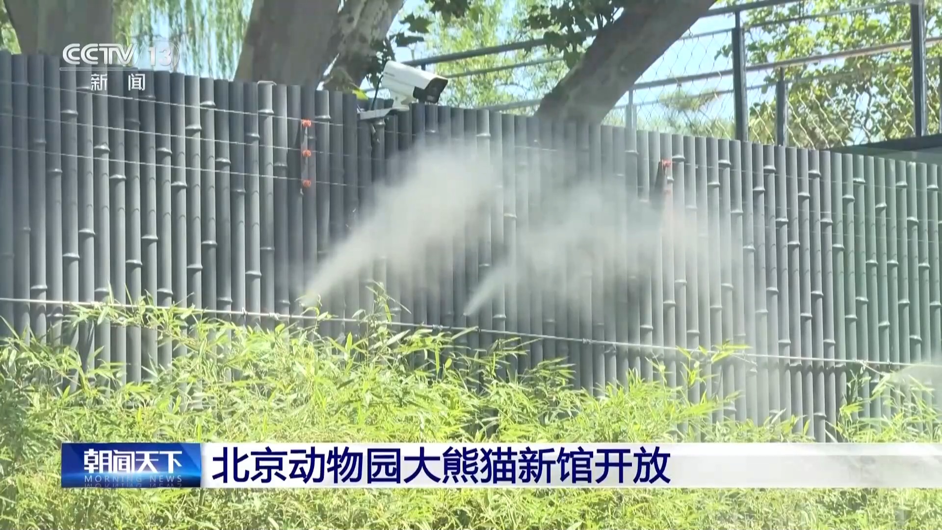 “萌兰”新家正式迎客 多场地轮换观赏更有趣