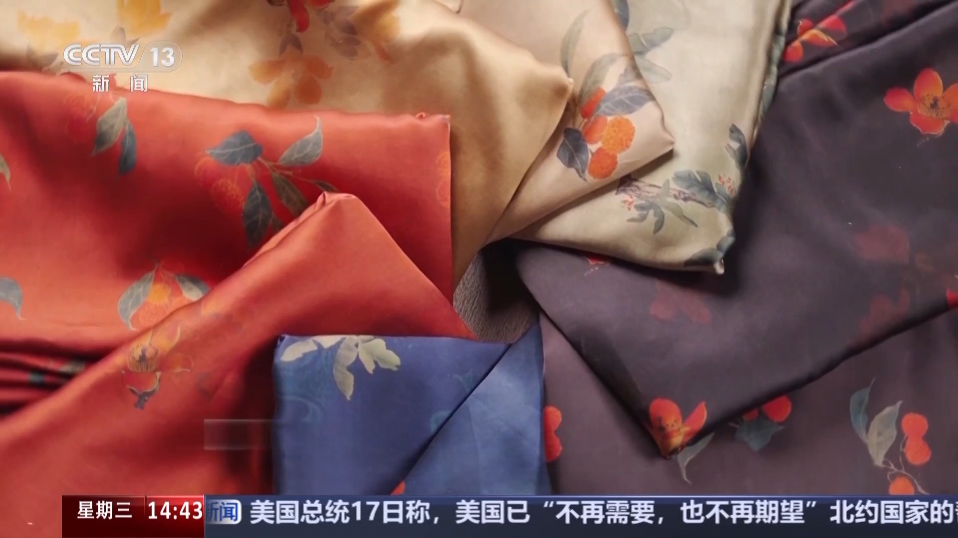 赏花踏青正当时 粤港澳大湾区解锁春日“繁花密码”