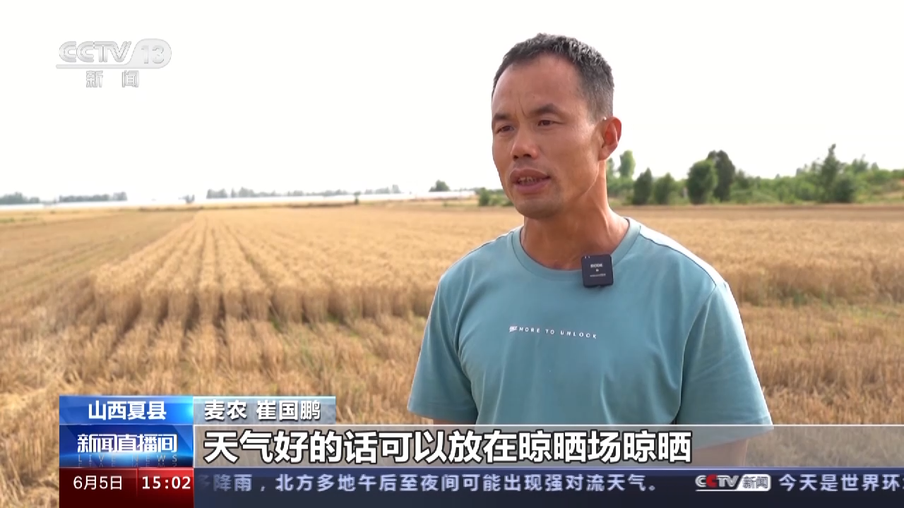 山西夏县小麦丰收 种粮大户2天抢收200多亩