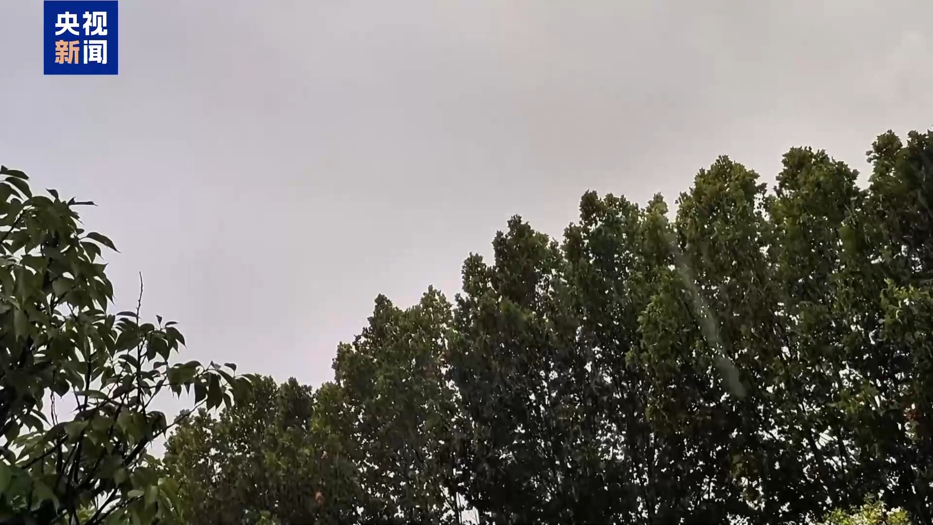 高湿天气致强降雨多发，气象专家分析8月下旬天气形势