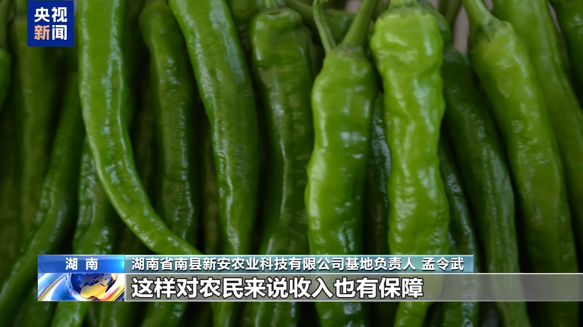 昼夜不停！全国秋收近八成 夜间抢播保农时