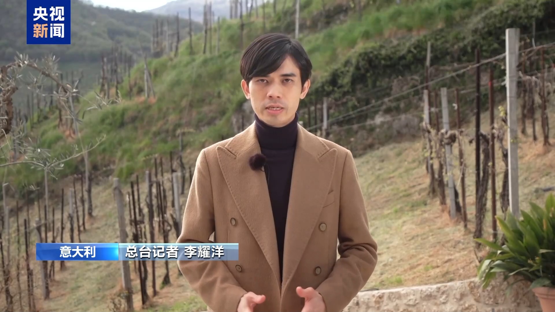 中东局势致成本上涨，意大利起泡酒产业遭冲击_京报网