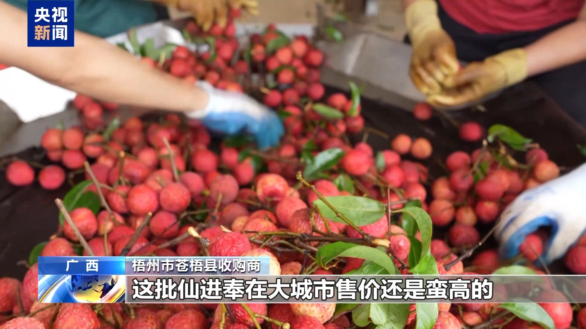 夏日水果便宜了！果农升级品种玩转深加工