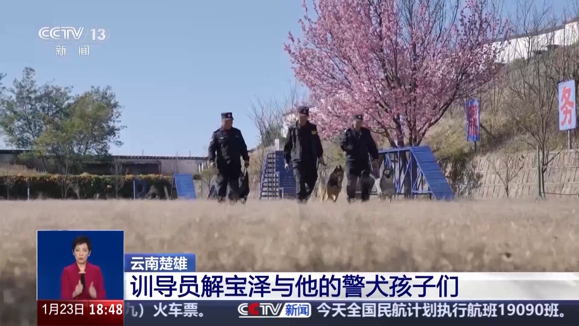 四只警犬被“点名批评” 其实可靠的它们各有绝活